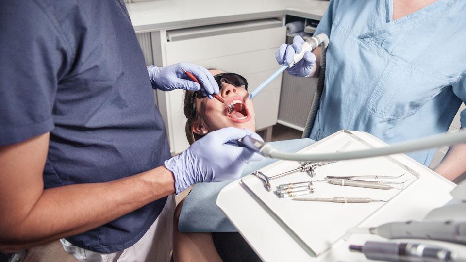 Hammaslääkärikoulutuksen ensimmäiset kaksi vuotta ovat melko teoriapainotteista yleislääketieteen opiskelua. Kolmannella vuosikurssilla alkavat varsinaiset hammaslääketieteen opinnot sekä potilastöiden harjoittelu.